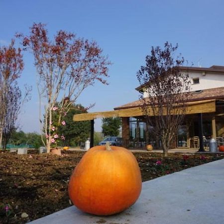 Agriturismo Campogrande Carpaneto Piacentino Extérieur photo